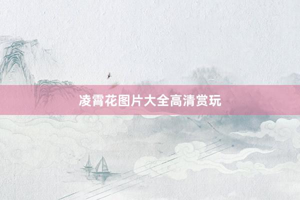 凌霄花图片大全高清赏玩
