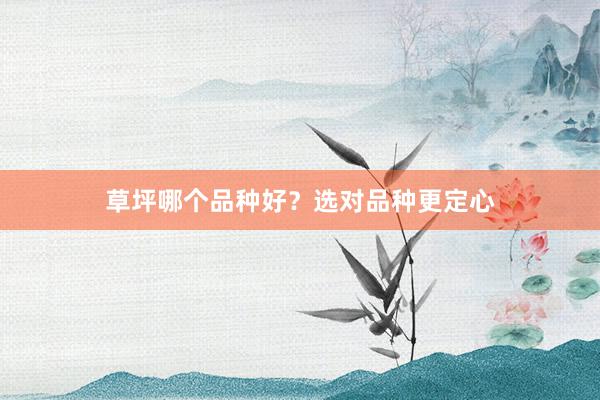 草坪哪个品种好？选对品种更定心