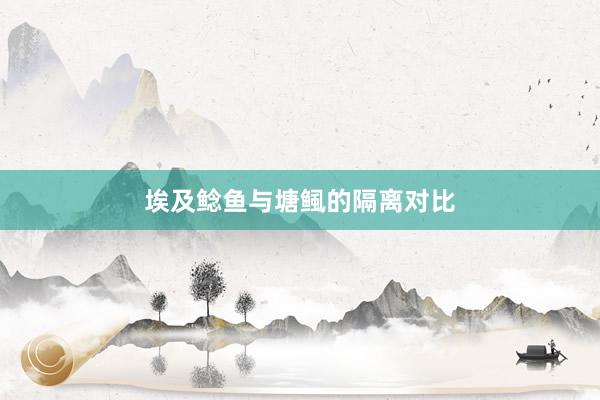 埃及鲶鱼与塘鲺的隔离对比