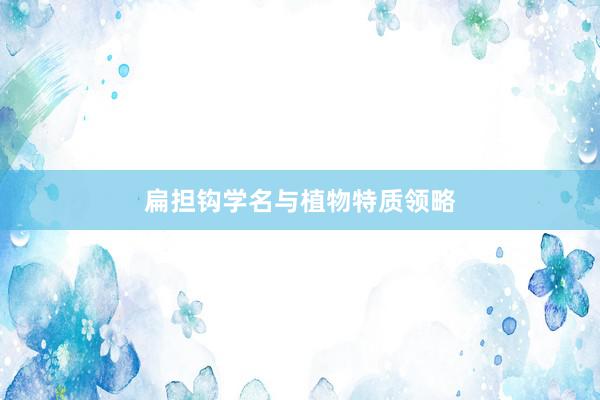 扁担钩学名与植物特质领略