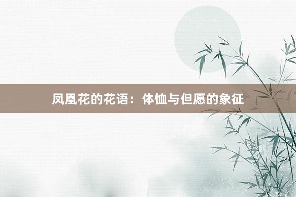 凤凰花的花语：体恤与但愿的象征