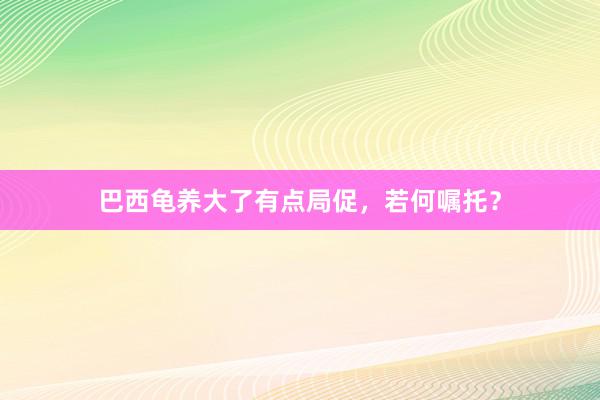 巴西龟养大了有点局促，若何嘱托？
