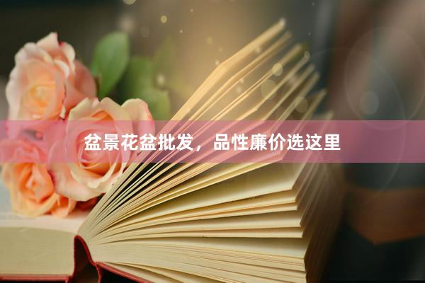 盆景花盆批发，品性廉价选这里