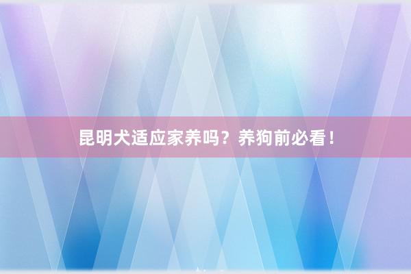 昆明犬适应家养吗？养狗前必看！