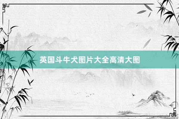 英国斗牛犬图片大全高清大图