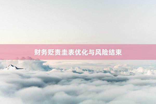 财务贬责圭表优化与风险结束