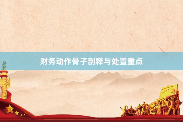 财务动作骨子剖释与处置重点